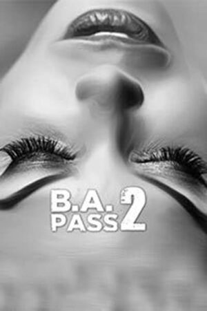 B.A. Pass 2