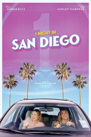1 Night In San Diego