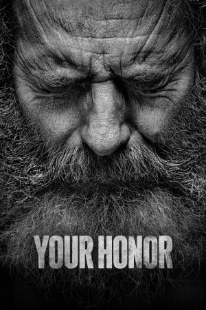 Your Honor (S02 Complete)
