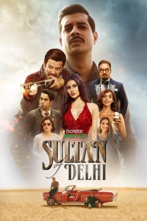 Sultan Of Delhi (S01 Complete)