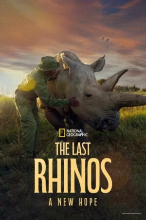 The Last Rhinos: A New Hope